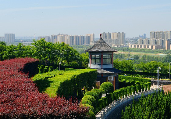 高橋墓園咋樣，好嗎，交通方便嗎？
