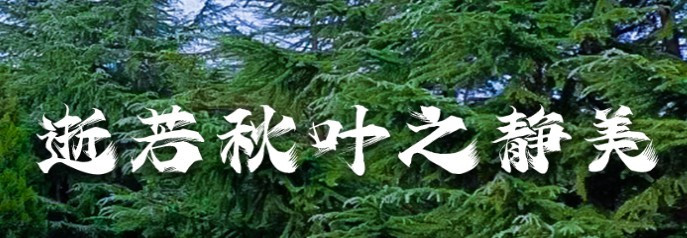 西安墓地價(jià)格什么時(shí)候合適購買-西安墓地價(jià)格何時(shí)合適購買？