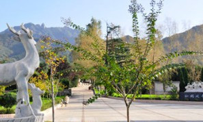 陜西西安市壽陽山公墓價格