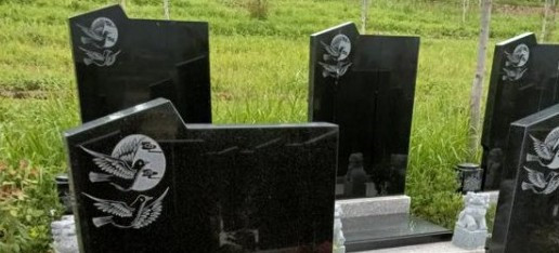西安高橋墓園墓型，西安高橋墓園的墓地類型與選擇指南
