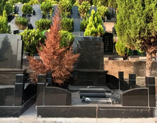 西安高橋墓園在哪個(gè)地方