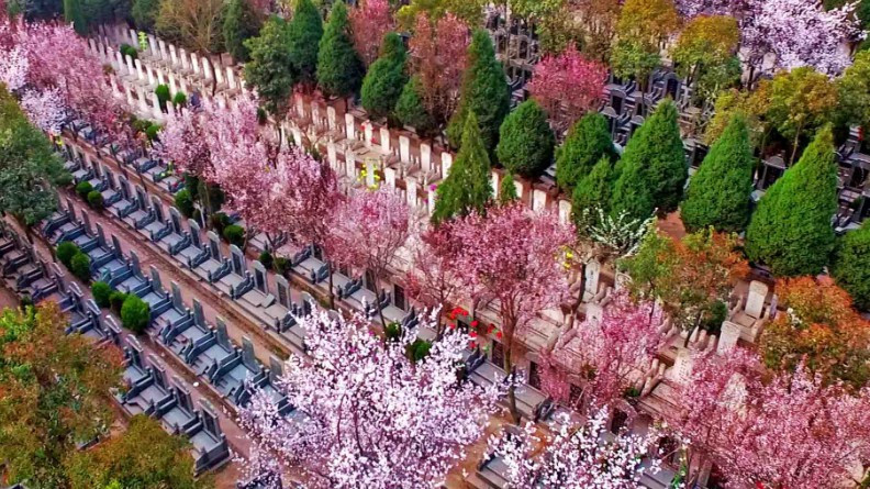 西安市三兆骨灰公墓福安碑號墓園價格-公墓價格一覽表