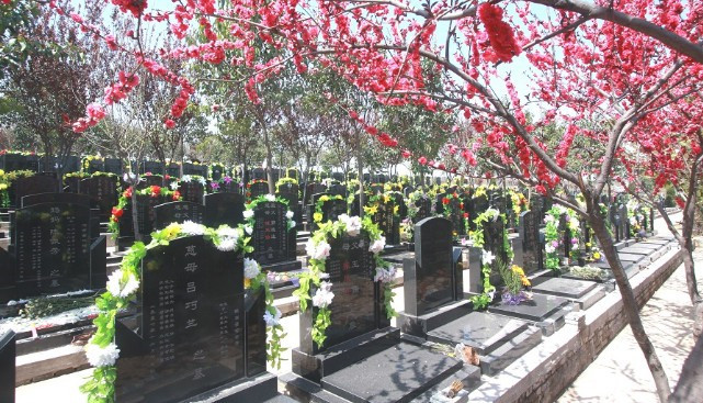 西安霸陵墓園新區(qū)好不好  價(jià)格