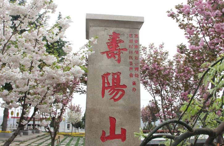 西安鯨魚(yú)溝壽陽(yáng)山圖片，壽陽(yáng)山公墓