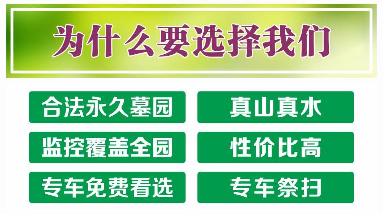西安鯨魚(yú)溝壽陽(yáng)山圖片，壽陽(yáng)山公墓