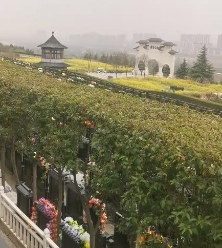 西安霸陵新區(qū)寶玉園，視野開闊，綠樹成蔭！