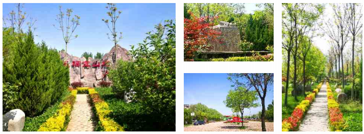 陜西西安鳳棲山墓園看一場(chǎng)花開(kāi)賞一園美景