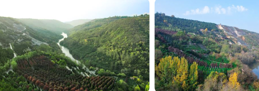 西安壽陽山骨灰墓園地處鯨魚溝中段，依山傍水，地勢(shì)高爽